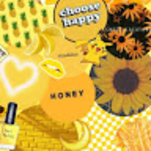 Meet your Posher, Maya